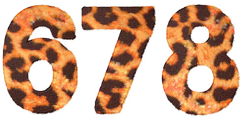 Image showing Leopard skin 6 7 and 8 figures isolated