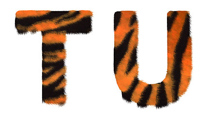 Image showing Tiger fell T and U letters isolated