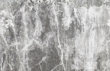 Image showing Surface of grey concrete wall with mould stains