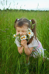 Image showing Little girl embraces flowers - chamomiles