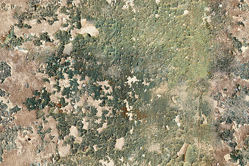 Image showing Seamless background of wall with peeling paint