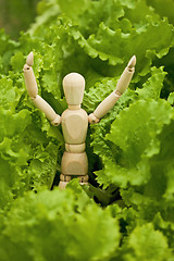 Image showing Toy wooden little man among salad leaves