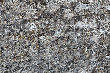 Image showing Texture - surface of rocks covered with lichen