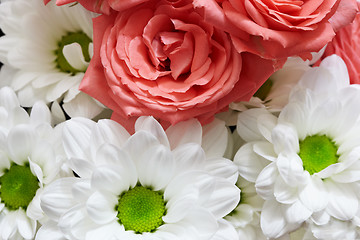 Image showing Red and white flowers - roses and chrysanthemums