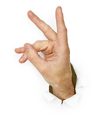 Image showing Hand imitates rabbit on a white background