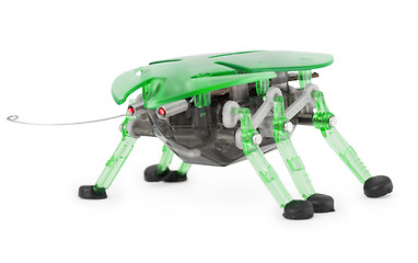 Image showing Cyber toy - robot beetle on white background