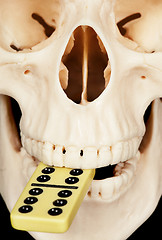 Image showing Human skull and dominoes