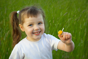 Image showing Little girl has torn off at chamomile all petals except one