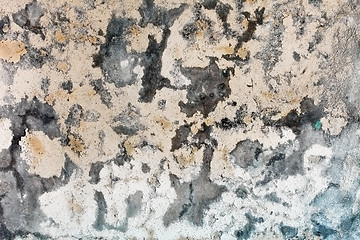 Image showing Mold stains on humid plaster