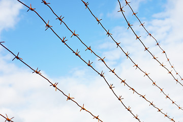 Image showing Rusty barbed wire