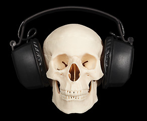 Image showing Human skull with stereo headphones on black