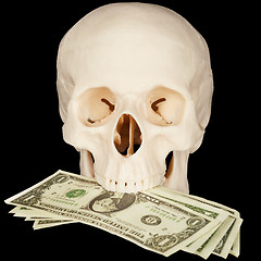 Image showing Skull clutched in teeth bunch of money
