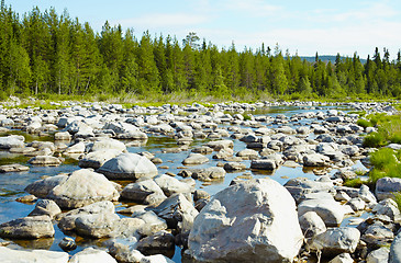 Image showing Dried up channel of river - Niva