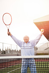 Image showing Senior tennis player