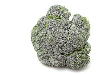 Image showing Broccoli