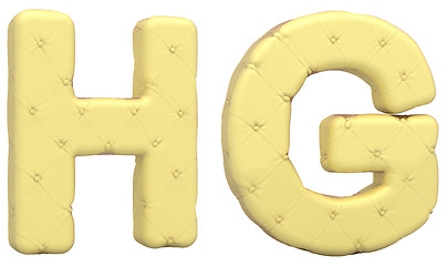 Image showing Luxury soft leather font H G letters