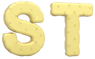 Image showing Luxury soft leather font S T letters