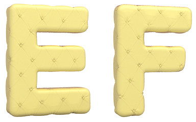 Image showing Luxury soft leather font E F letters isolated