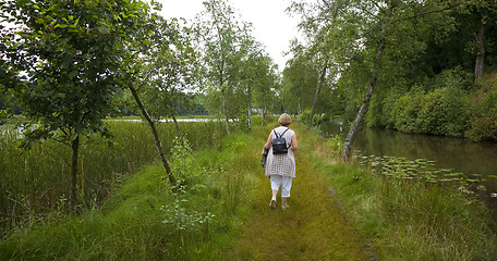 Image showing Nature walk Denmark