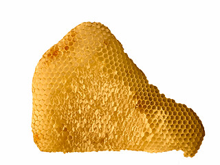 Image showing Honeycomb with honey isolated