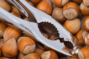 Image showing Hazelnuts and cracker
