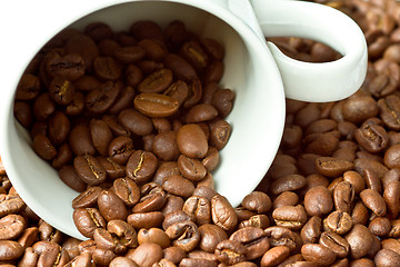 Image showing White cup in coffee beans
