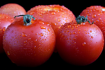 Image showing Wet whole tomatos