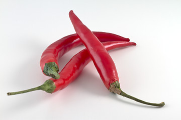 Image showing Red hot chili peppers