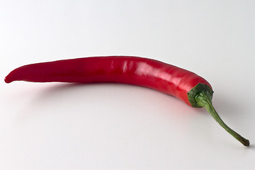 Image showing Red hot chili pepper