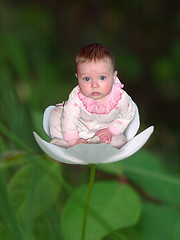 Image showing Flower seat