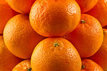 Image showing Pile of clementines