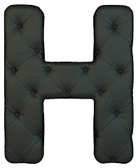 Image showing Luxury black leather font H letter