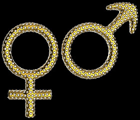 Image showing Luxury gender symbols inlaid with gems