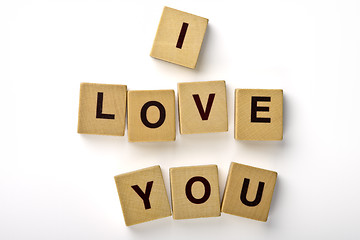 Image showing I Love You Magnets