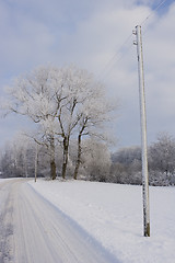 Image showing Winter landscape