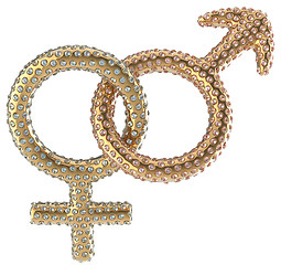 Image showing Female and male gender symbols with gems 