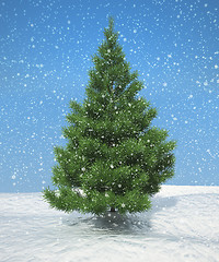 Image showing Christmas firtree during snowfall 