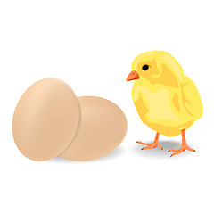 Image showing Little chiken with eggs