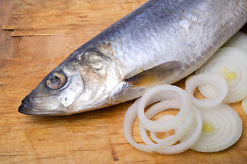 Image showing Herring with onion