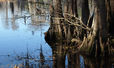 Image showing Waters edge 