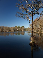 Image showing Blue water