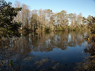 Image showing Shoreline