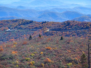 Image showing Along the trail