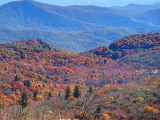 Image showing Fall colors