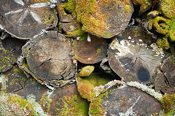 Image showing Heap of rotten fire wood - background