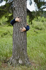 Image showing Man hugging tree