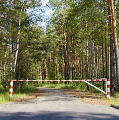 Image showing Barrier blocking road in woods