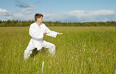 Image showing Young karateka trains in open air