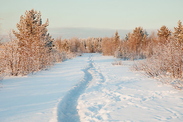 Image showing Beautiful winter landscape with snow