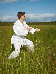 Image showing Ðoung man goes in for karate in open air